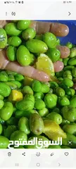  9 خل تفاح مركز ميه بالميه
