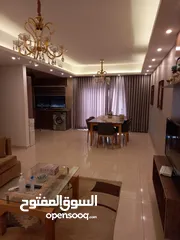  14 شقة أرضية مفروشة للبيع في منطقة الشميساني