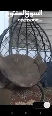  1 مرجيحة عش البلبل حجم كبير للبيع