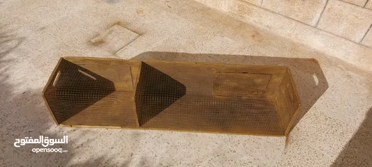  1 صندوق عرض للطيور للبيع
