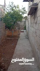  13 بيت مستقل طابقين