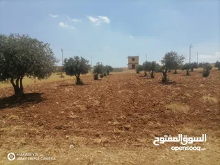  7 3400م للبيع واصل خدمات منطقه رحاب بني حسن بالقرب من طريق اربد الزرقاء الرئيسي من المالك مباشره