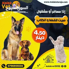  26 خدمات بيطرية متكاملة للحيوانات الاليفة