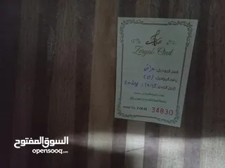  4 عود زرياب اصلي عراقي صوت رائع بسعر حرق