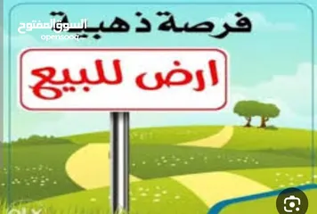  1 ارض استثماريه للبيع في مدينه زايد حي العاصمه