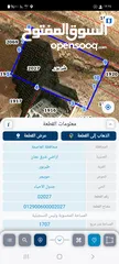  1 ارض للبيع في طبربور لبناء فيلا او اسكان