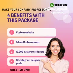  2 Professional Website at affordable price