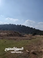  5 1600 متر للبيع في الصفا - حلحول