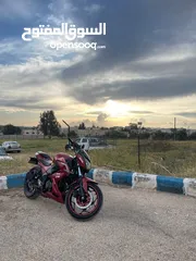  2 باندا بطح للبيع