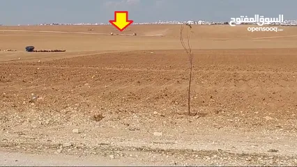  8 مادبا بجانب الجامعة الامريكيةمباشرة قطعة زراعيةمميزة بسعر 18 الف الدونم وبمساحة 3750متر واصل الخدمات