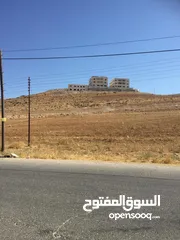  1 قطعة ارض سكنية في شفا بدران / مرج الفرس للبيع
