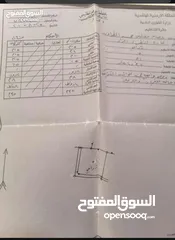  3 ارض زراعيه مشجره باشجأر الزيتون المثمره عمرها فوق الثلاثين سنه يوجد بها ابار ماء أرضية عدد اثنين