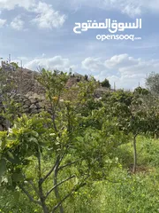  18 بيت ريفي مع مزرعة