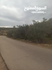  13 القبة الذهبية  شارع بلعا-دير الغصون