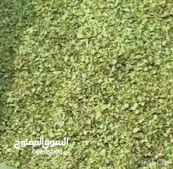  1 أوريغانو شيرازي ممتاز، طازج من حصاد هذا العام، بعطر سماوي من الدرجة الأولى