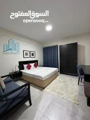  6 Beautiful Fully Furnished 1 BR Apartment