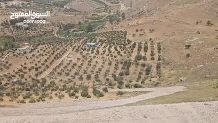  5 11 دونم للبيع في ماحص نزول وادي شعيب