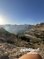  5 ارض واد الزرزير مطله وهادئه