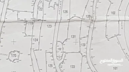  1 ارض بها اشجار زيتون للبيع