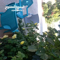  12 مزرعة وفلة للبيع بموقع ممتاز