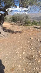 3 قطعة ارض للبيع