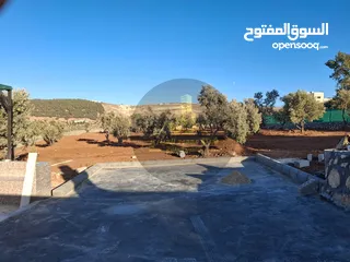  22 رقم الاعلان (4495) مزرعة للبيع في الكمشة حوض الميدان اطلالة بانوراما