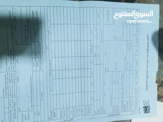  3 شقه مع روف الياسمين