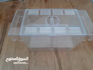  5 حوض سمك كريستال