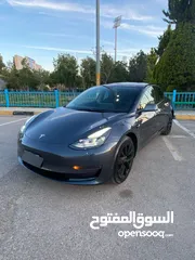  11 تيسلا مودل 3 استاندر بلس حره 2021 كاش او اقساط