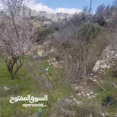  3 ارض للبيع من المالك مباشرة