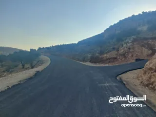  2 دونم طابو بلدية رام الله في ضاحية الريحان