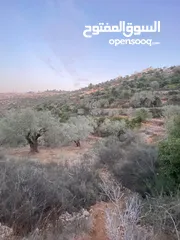  1 ارض للبيع (للاستثمار )