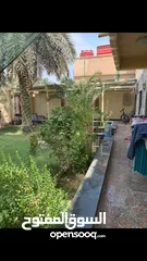  5 بيت للبيع / الخليلية / الجزائر