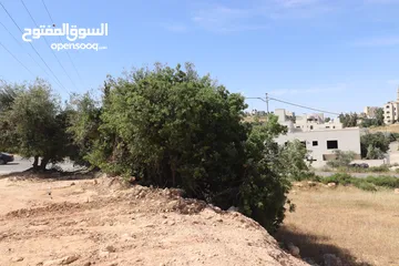  19 ارض للبيع في بدر الجديده 500م حوض الحديب باطلاله جميله تصلح لبناء فيلا فخمه بالقرب من دوار التعبئه