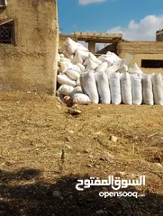  4 تبن احمر بيقيا