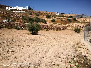  4 قطعة ارض مميزة في صوريف ابوشوك واصل كهرباء +زفتة (يمكن التبديل على شقة في مدينة الخليل)