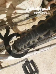  10 بيع بسكليت نمره 26 الموقع اربد حي القصيله