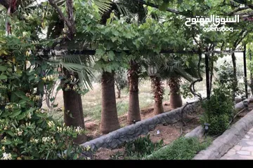  19 مزرعة مميزة و مشجرة للبيع بسعر مغري