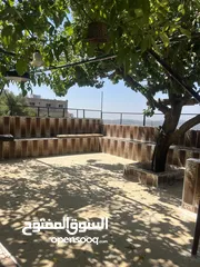  27 ششقق مفروشه ومستقله في جبال عجلون