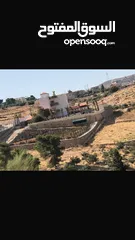  4 مزرعة للبيع بيرين منطقة الكمشة