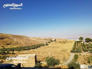  4 مزرعه نموذجيه مع بيت شبه فيلا،  السلط،   مطله على جبال فلسطين والاغوار