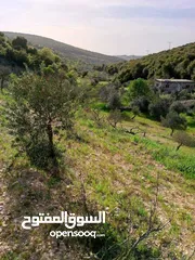 3 قطعة أرض 2 دونم بإطلالة خلابة في محافظة عجلون / عين جنا بسعر 18 ألف دينار فقط