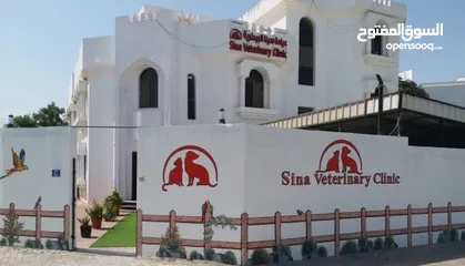  1 SINA VETERINARY CLINIC / عيادة سينا البيطرية