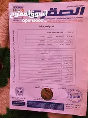  12 راف فور موديل 2018