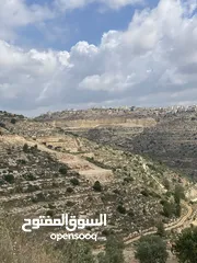  1 ارض كوشان طابو منطقة كريسه
