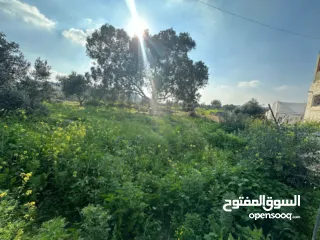  3 فرصة ذهبية للاستثمار أرض جبلية مميزة مسيجة .الفرصة بتيجي مرة وحده