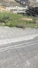  7 قطعة نص دونم دورا