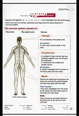  5 دروس خصوصية علوم المرحلة المتوسطة.