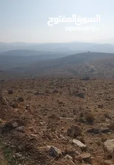  2 ارض زراعية للبيع في المفرق / دحل