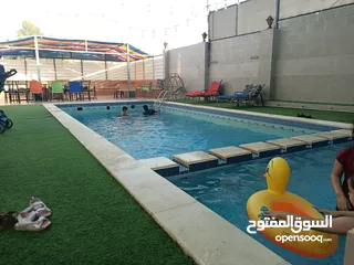  4 مزرعة وشاليه العلياء للايجار اليومي